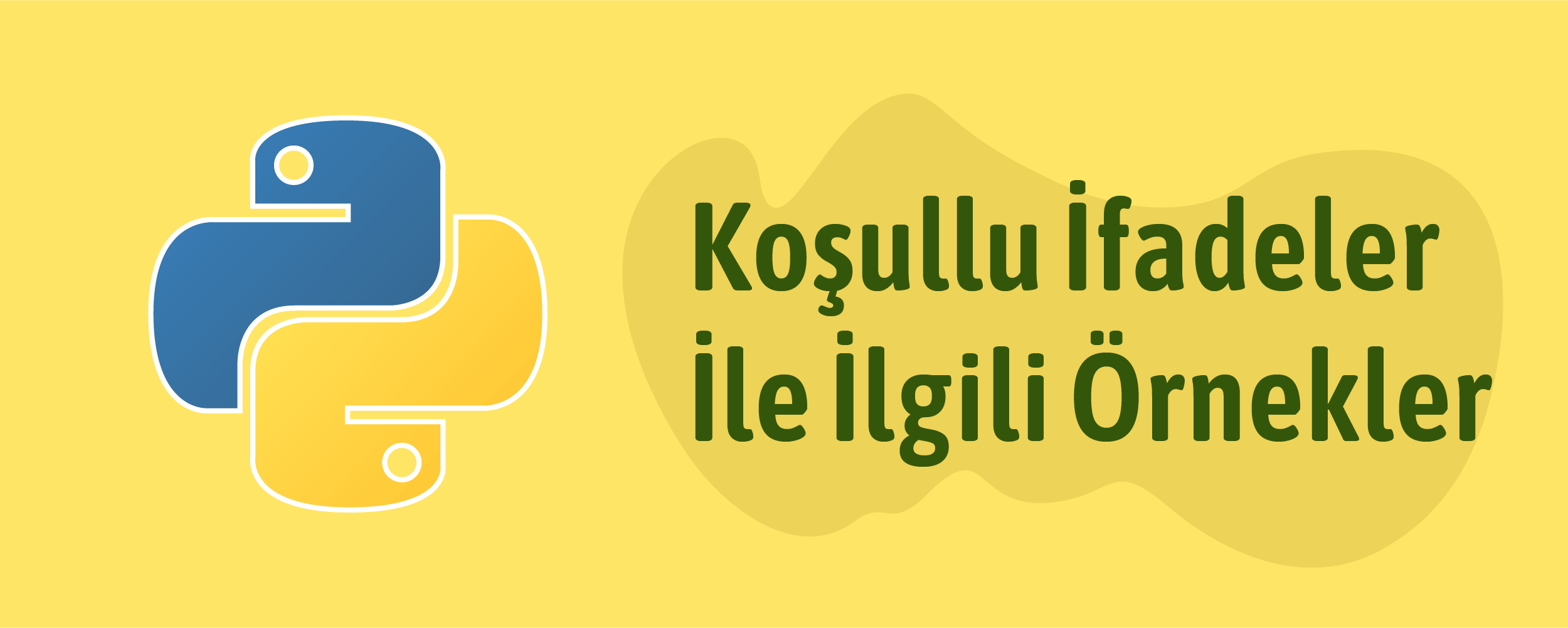 Python Koşullu İfadeler İle İlgili Örnekler
